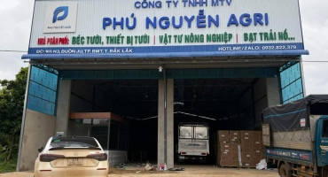 Top 5 đơn vị VTNN hàng đầu Tây Nguyên – Uy tín, chất lượng, đáng lựa chọn
