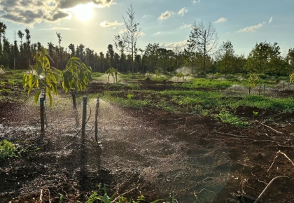 Hệ Thống Tưới Đắk Lắk – Giải Pháp Tưới Tự Động Tiết Kiệm & Hiệu Quả