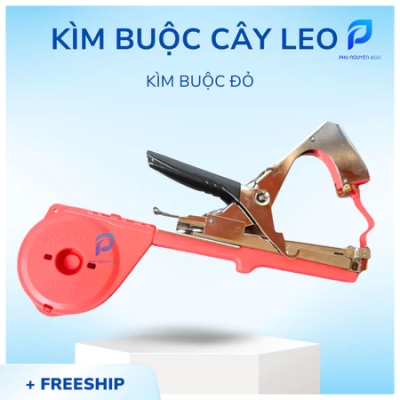 KÌM ĐỎ BUỘC CÂY LEO