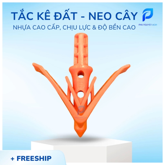 tắc kê đất neo cây màu cam